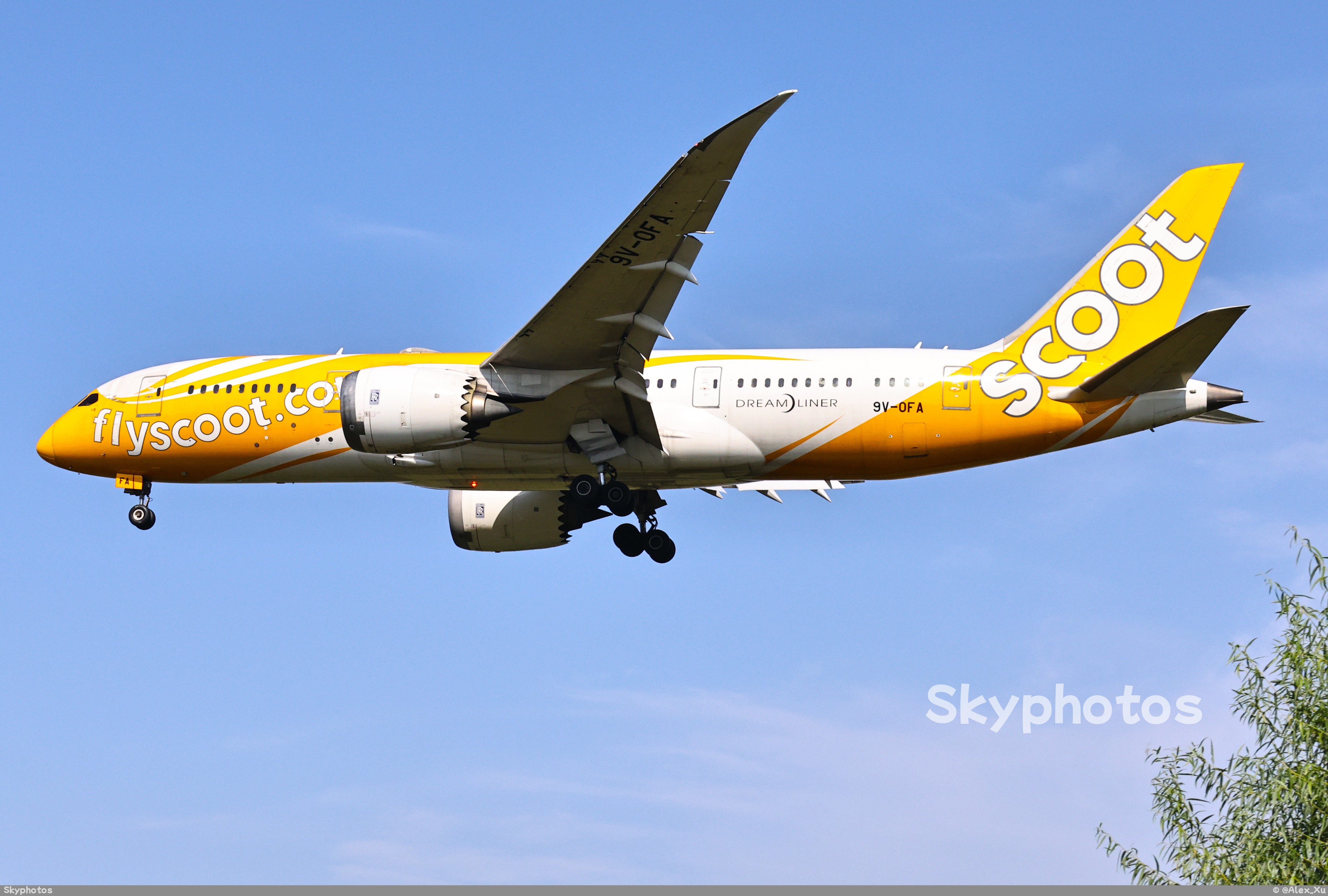 酷航 B787-8