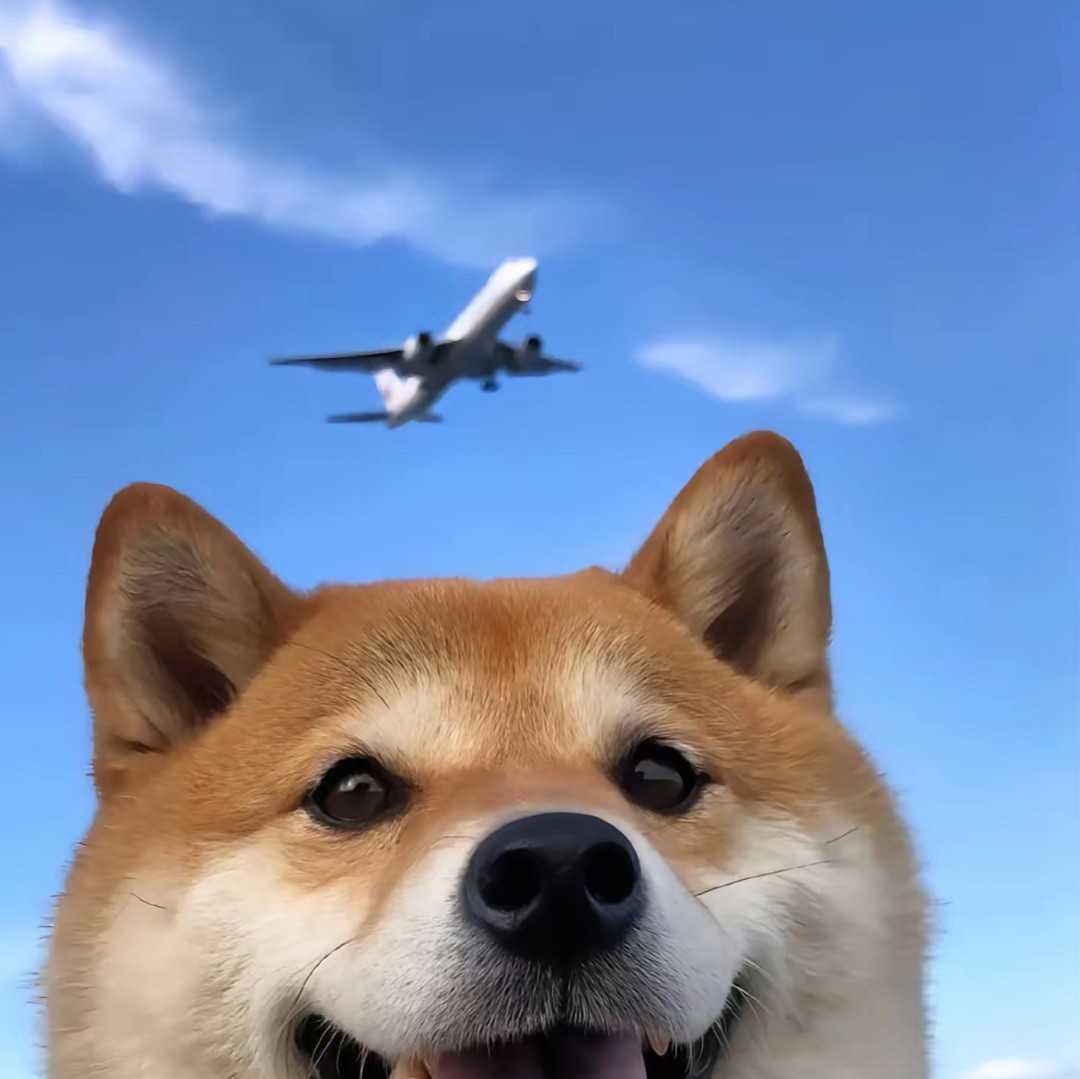 7717的头像