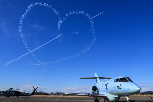日本航空自卫队 N/A