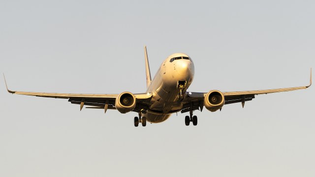 瑞丽航空 B737-800(WL)