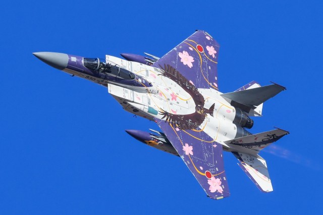 第306战术战斗机中队 F-15J