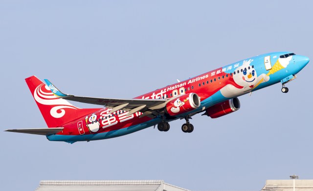 海南航空 B737-800(WL)