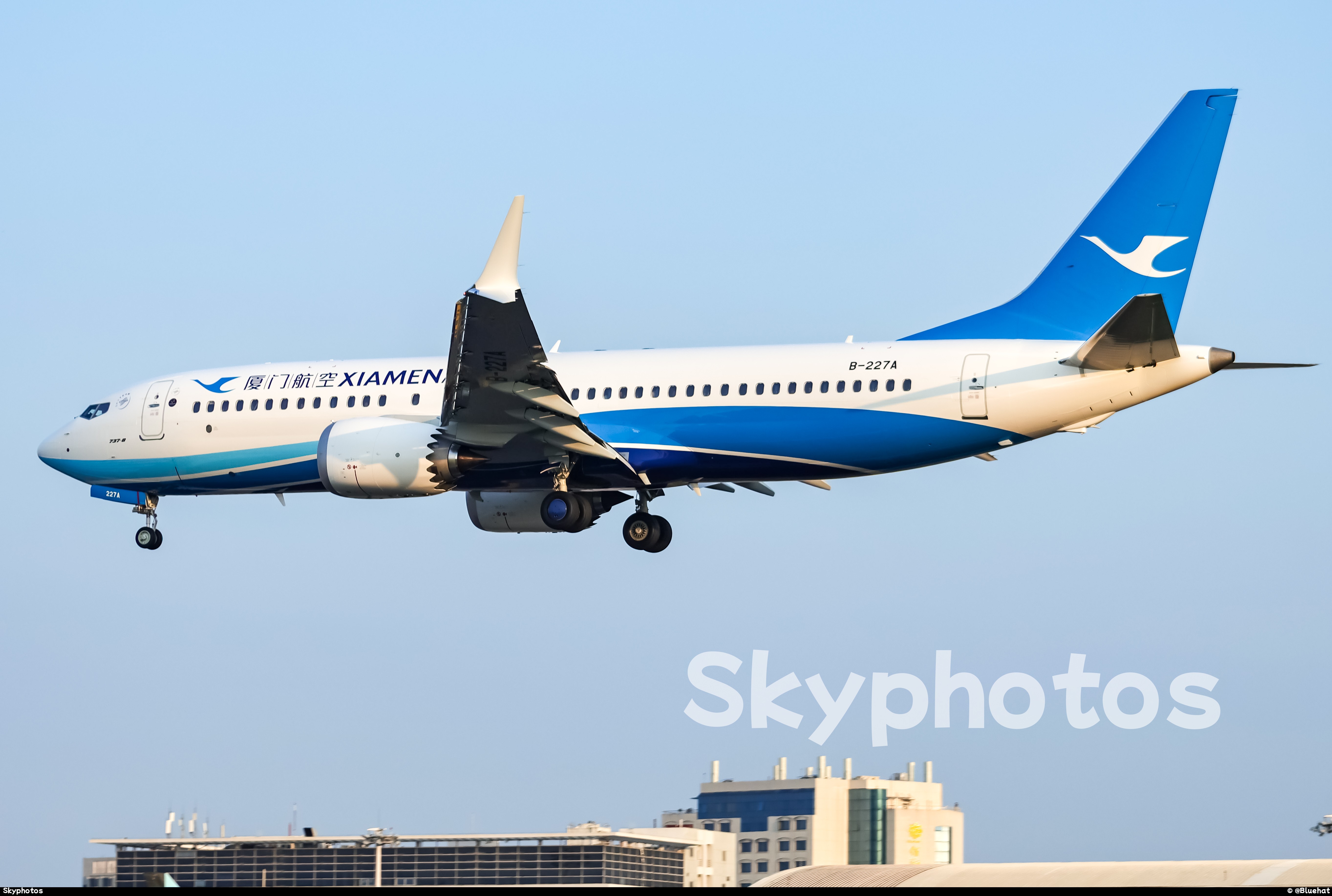 厦门航空 B737-8