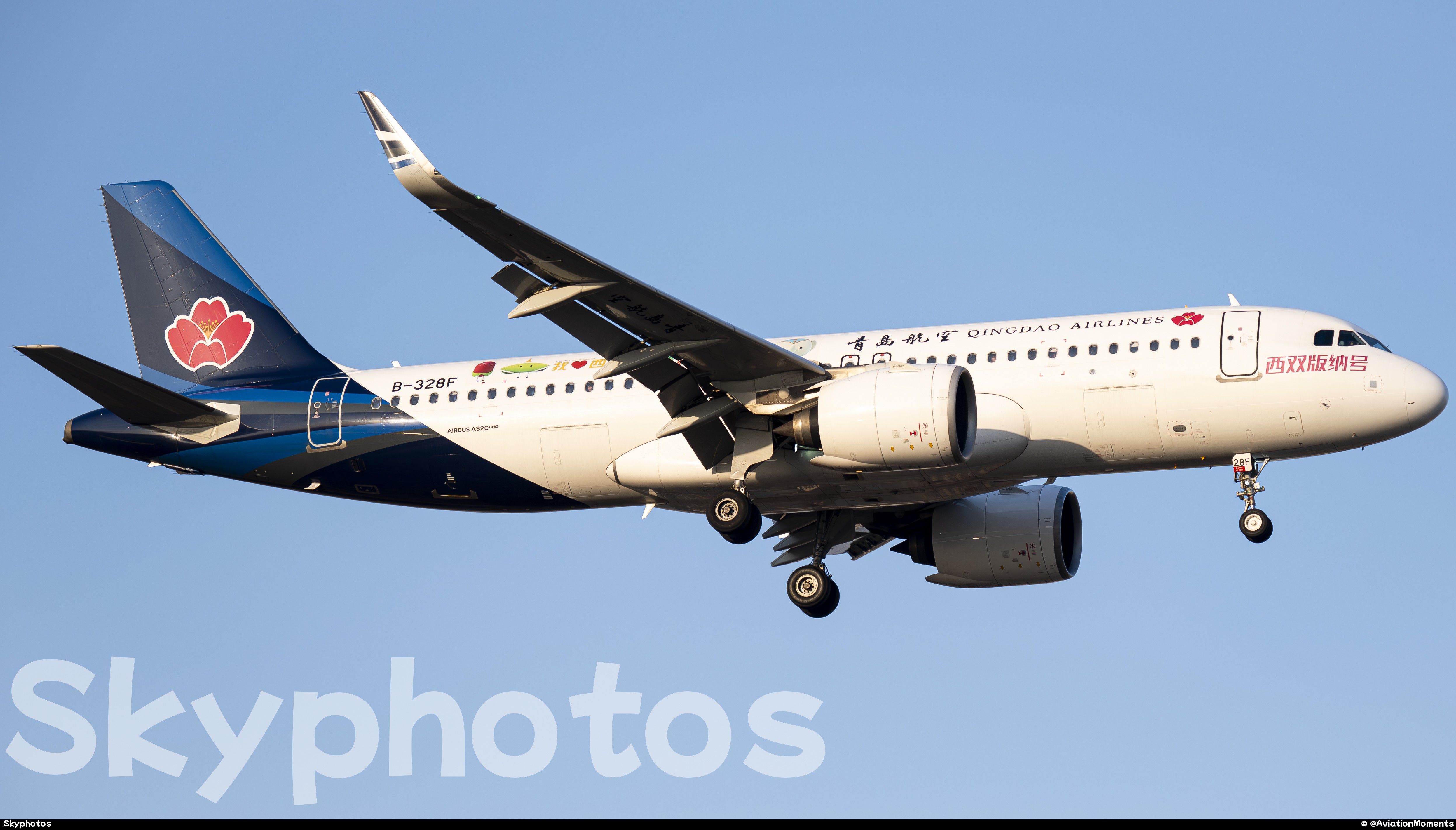 青岛航空 A320-271N