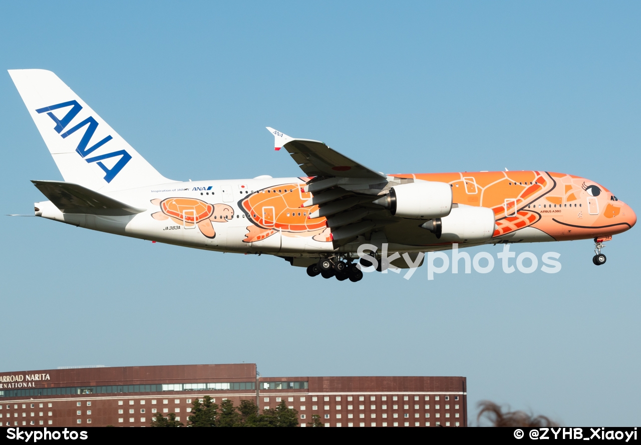 全日空航空 A380-841