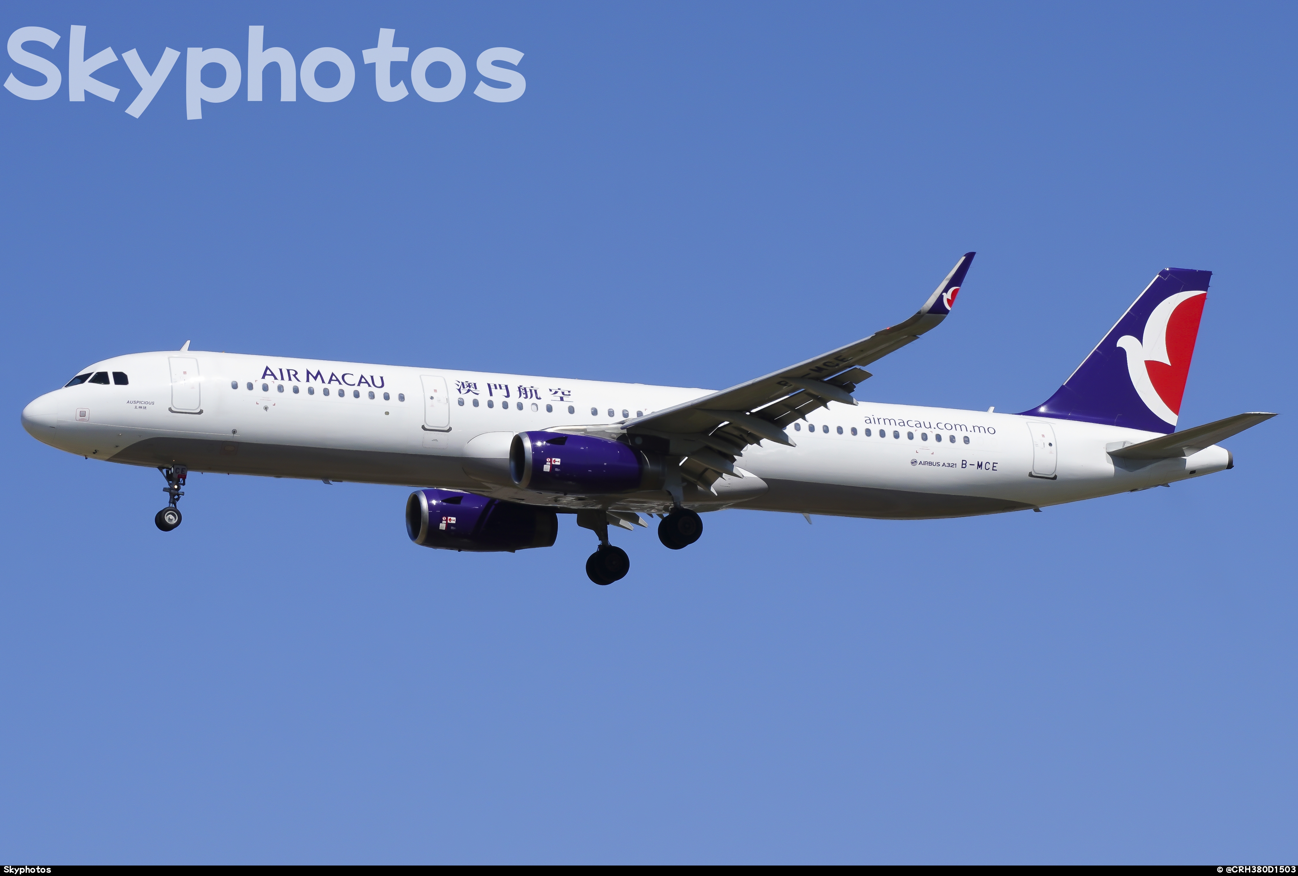 澳门航空 A321-231(SL)