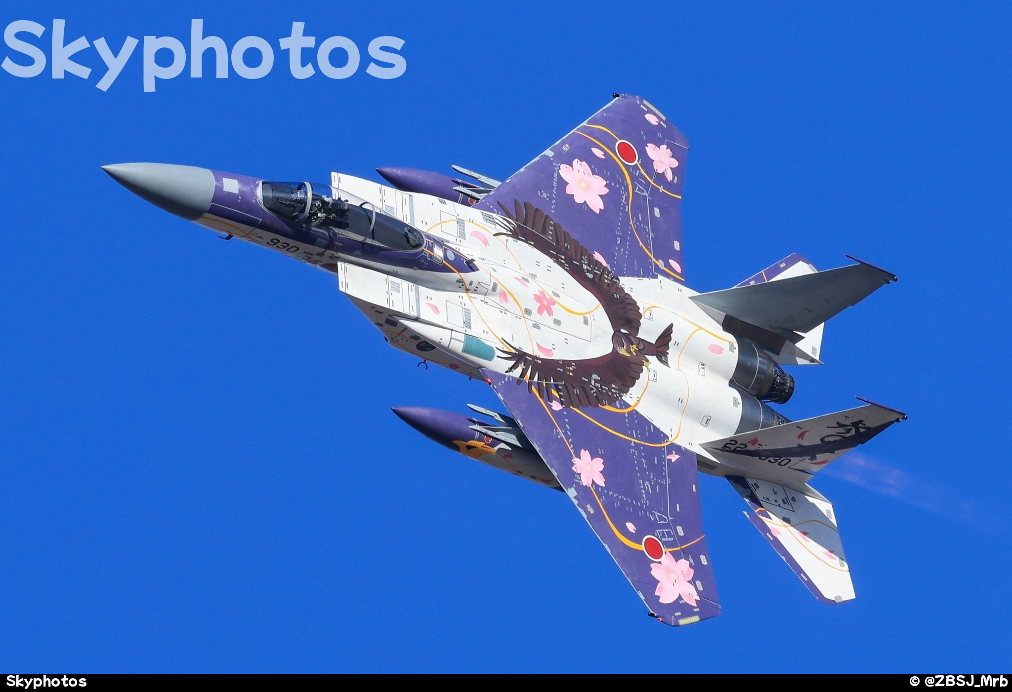 第306战术战斗机中队 F-15J