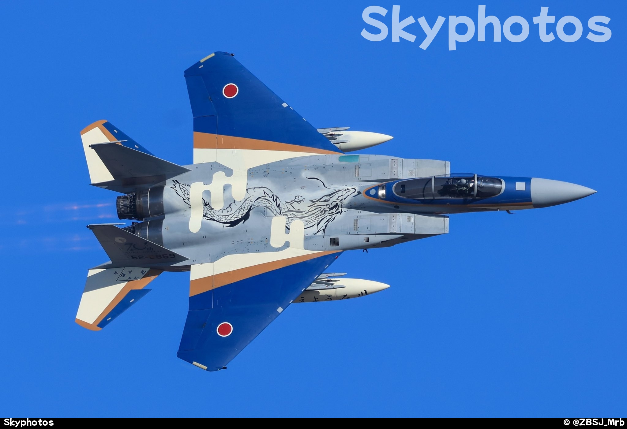 第303战术战斗机中队 F-15J at Hyakuri Air Base